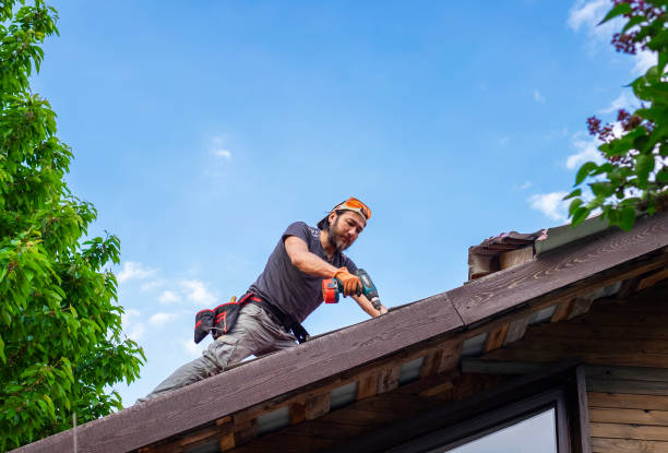 Best Roof Maintenance and Cleaning  in Williamsport, OH